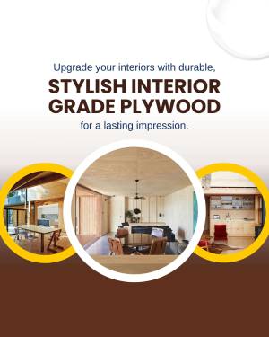 Image showcasing stylish interiors using grade plywood