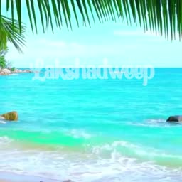 Scenic view of a tropical beach in Lakshadweep with palm tree leaves framing a crystal blue ocean