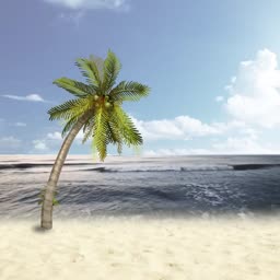 A solitary palm tree standing on a bright sandy beach against a blue sky and ocean horizon