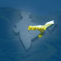 A stylized map of India with the state of Assam highlighted in yellow and green against a blue background