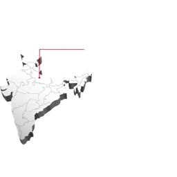 A 3D grayscale map of India with a red pointer pin in the northern region