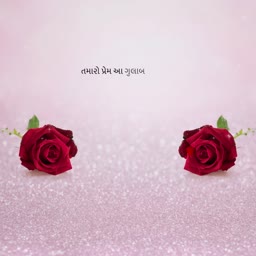 Two red roses on a sparkling light pink background with Gujarati text