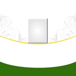 Elegant white floral patterned background with a blank vertical rectangle for text and a green bottom border