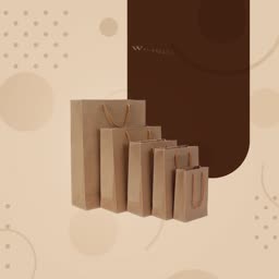 Set Of Five Brown Paper Shopping Bags Flyer For Google Business Profile