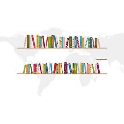 Two bookshelves filled with colorful books against a pale world map background