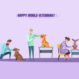 Veterinarians and clinic staff examining dogs and a cat in a clinic setting