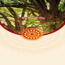 Rakhi tied on a tree trunk with festive background
