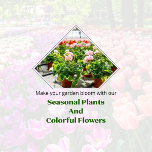 Seasonal Garden Plants And Flowers Promotion Post For Instagram