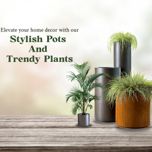 Stylish Pots And Trendy Plants Home Decor Business Poster For LinkedIn