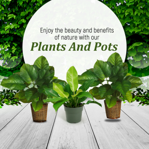 Plants And Pots Promotion Banner For X