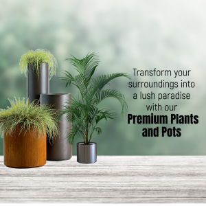 Premium Indoor Plants And Decorative Pots Collection Design For X