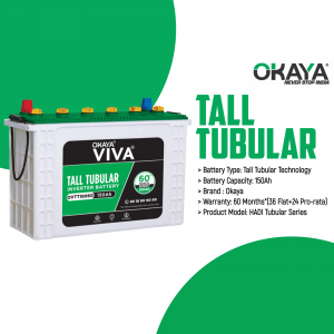 Okaya Viva 150Ah Tall Tubular Inverter Battery on a white background with green accents