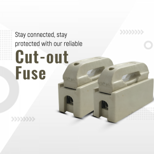 Two beige electrical cut-out fuse units for power protection
