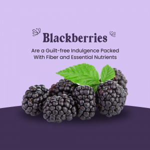 A cluster of fresh, ripe blackberries with green leaves on a soft light purple background with text highlighting their nutritional benefits.