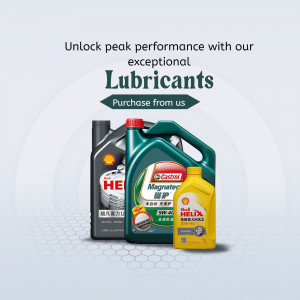 Various bottles of automotive lubricants on display