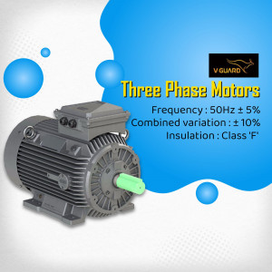 V-Guard three phase electric industrial motor with technical specifications
