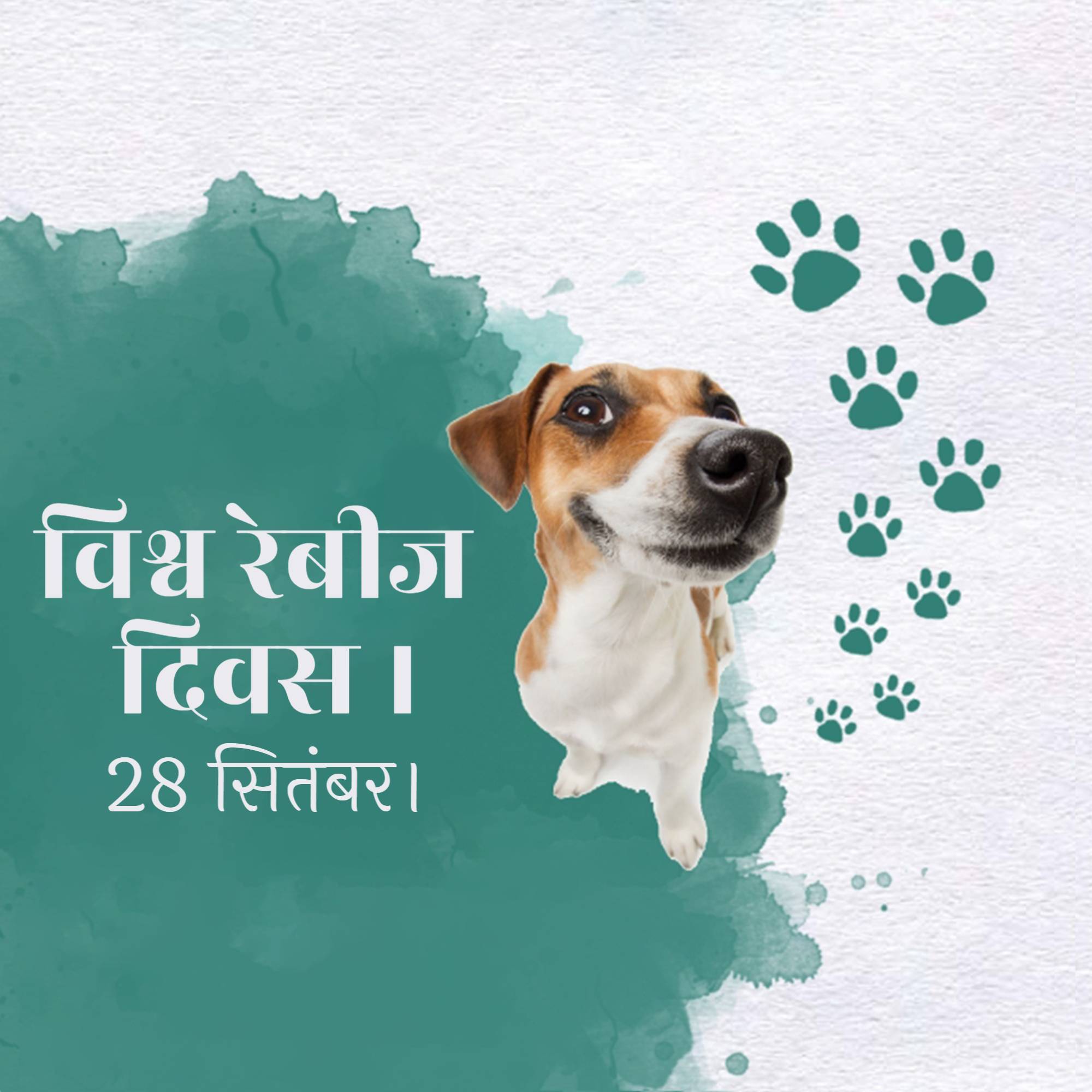 World Rabies Day