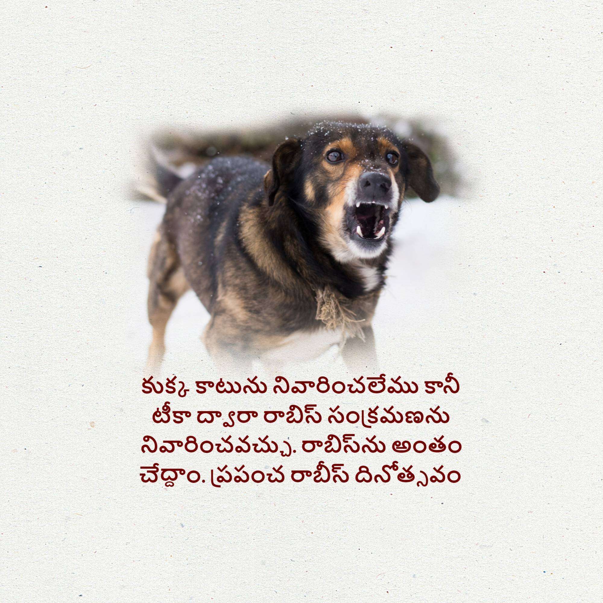 World Rabies Day