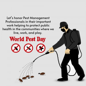 A pest control professional spraying to eliminate insects for World Pest Day