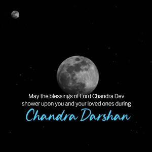 brands.live template