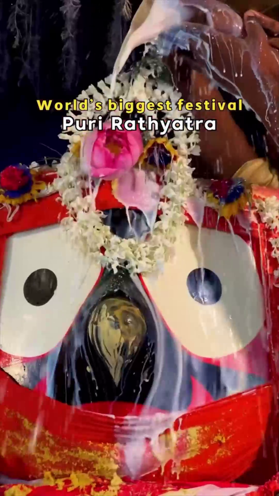 Lord Jagannath idol receiving a milk offering during the Puri Rathyatra festival