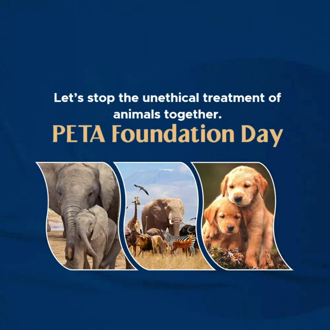PETA Foundation Day poster featuring African elephants and golden retriever puppies