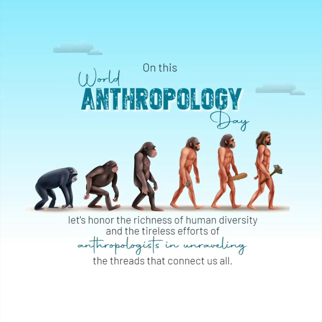 A visual representation of human evolution from primates to modern humans to celebrate World Anthropology Day