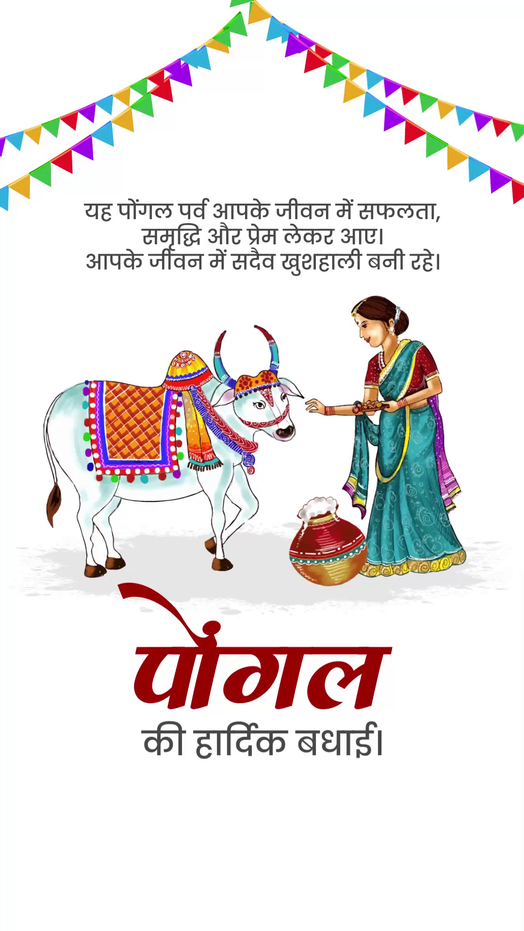 An Indian woman in a sari offering food to an adorned cow during the Pongal festival