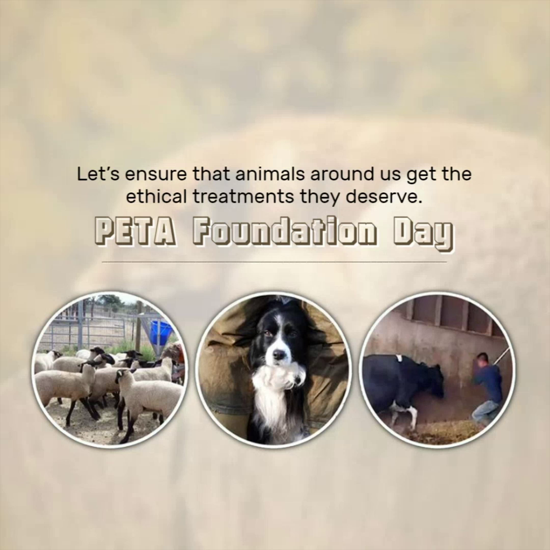 PETA Foundation Day awareness poster showing various animals including sheep, a dog, and a cow to advocate for ethical treatment.