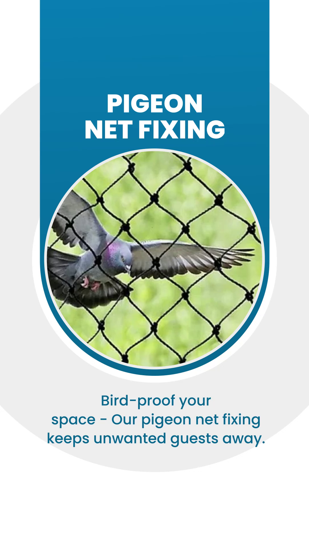 Pigeon bird netting installation for balcony and window protection