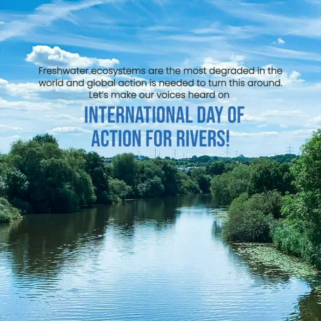 A scenic river surrounded by lush green trees under a bright blue cloudy sky with a text overlay about International Day of Action for Rivers.
