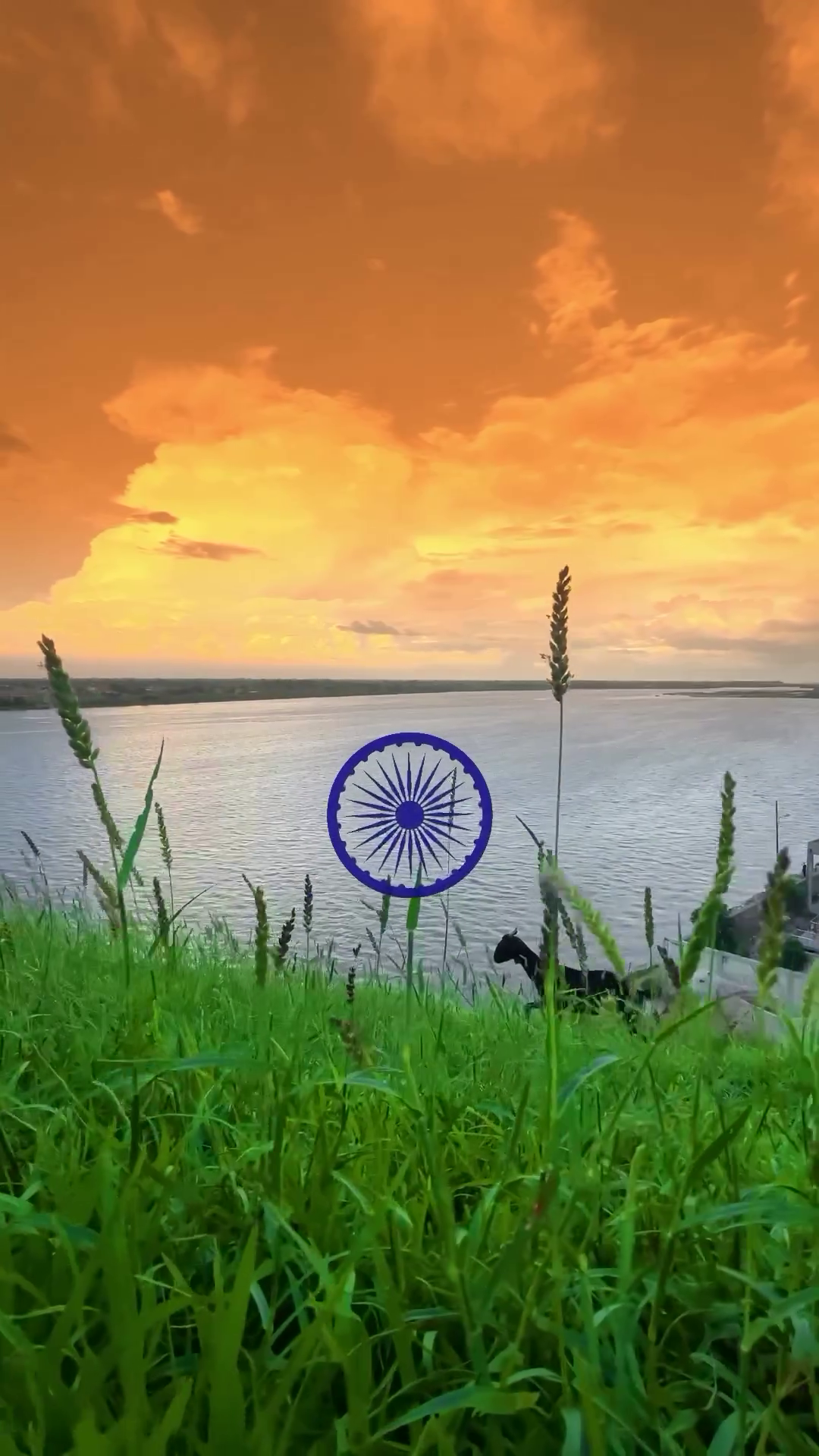 The Ashoka Chakra symbol floating over a tranquil river at sunset with lush green grass in the foreground.