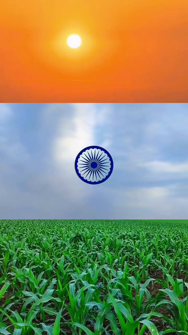 An artistic representation of the Indian flag created through natural elements including a sunset sky, a cloudy sky, and a lush green field with the Ashoka Chakra in the center